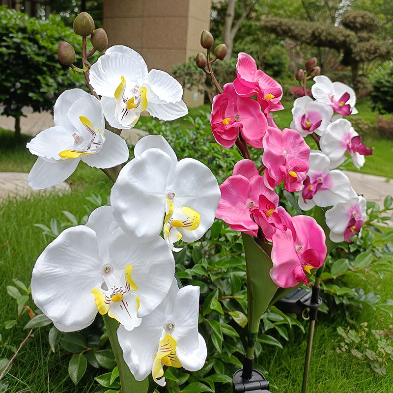 Solar Orchid Garden Lights – 5-Bloom Outdoor Flower Stake Lights