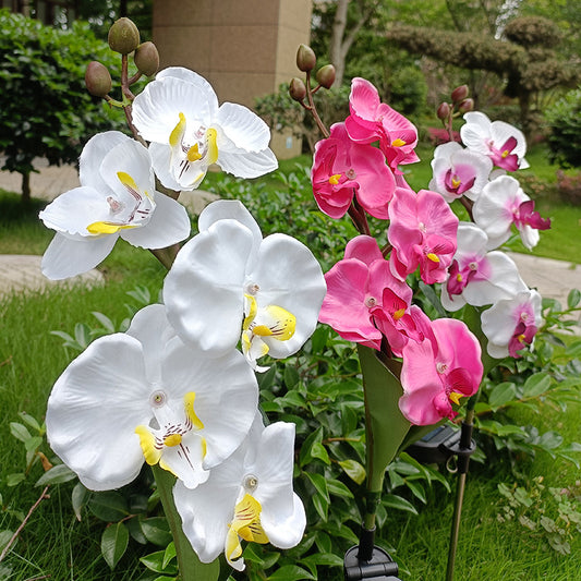 Solar Orchid Garden Lights – 5-Bloom Outdoor Flower Stake Lights