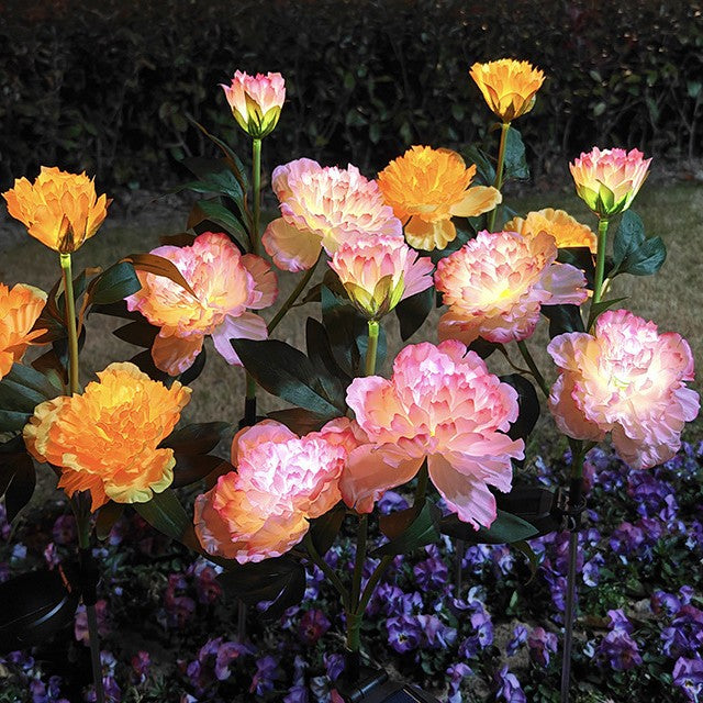 Solar Peony Garden Lights – Outdoor Flower Stake Lights