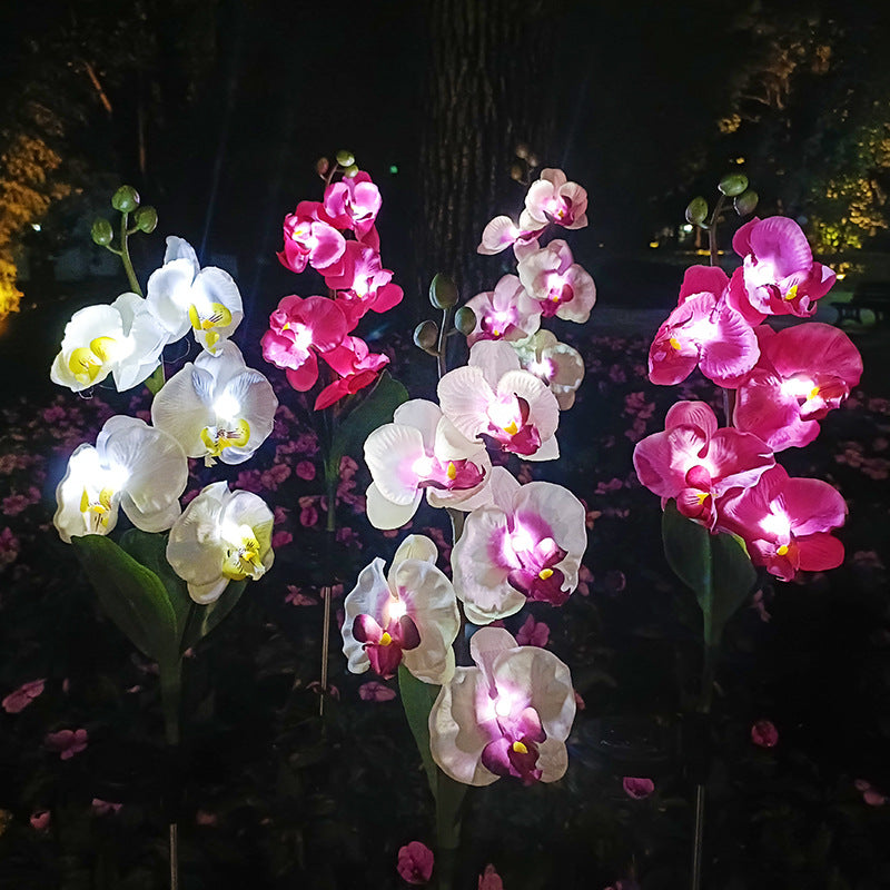 Solar Orchid Garden Lights – 5-Bloom Outdoor Flower Stake Lights