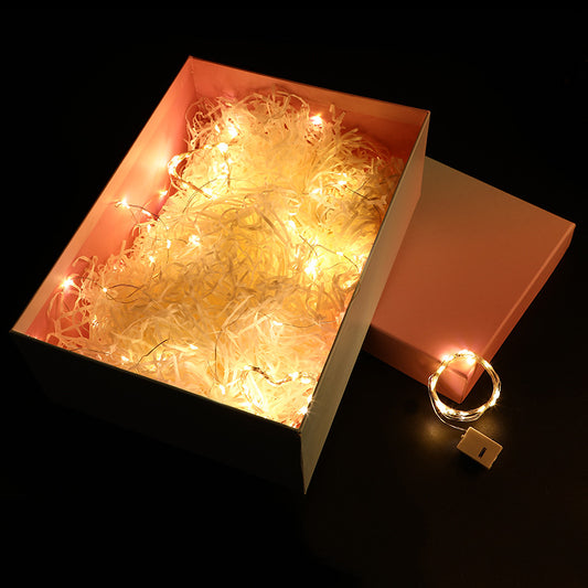 Battery-Operated Fairy String Lights – Warm White & Multicolor