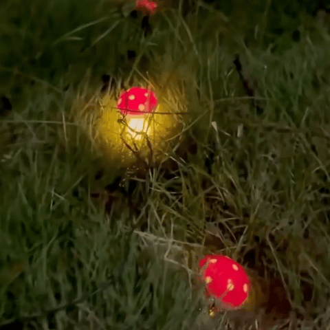 Solar Mushroom Garden Lights – 8-Piece Warm White Outdoor Lights