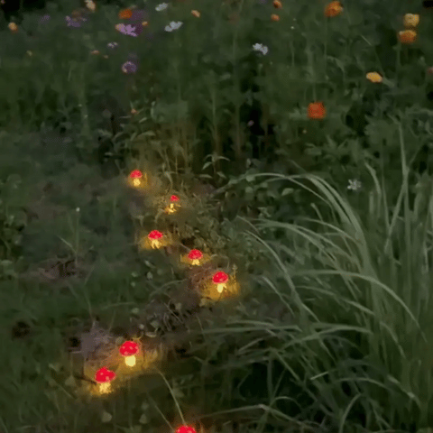 Solar Mushroom Garden Lights – 8-Piece Warm White Outdoor Lights